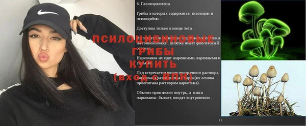 мяу мяу мука Новодвинск