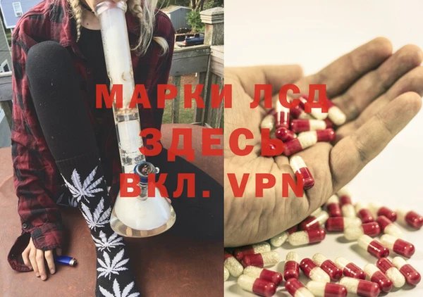 мяу мяу мука Новодвинск