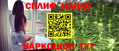 твердый Кингисепп