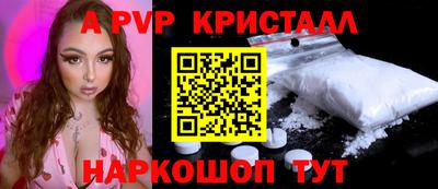 твердый Кингисепп