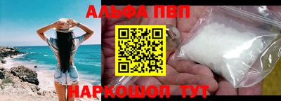 твердый Кингисепп
