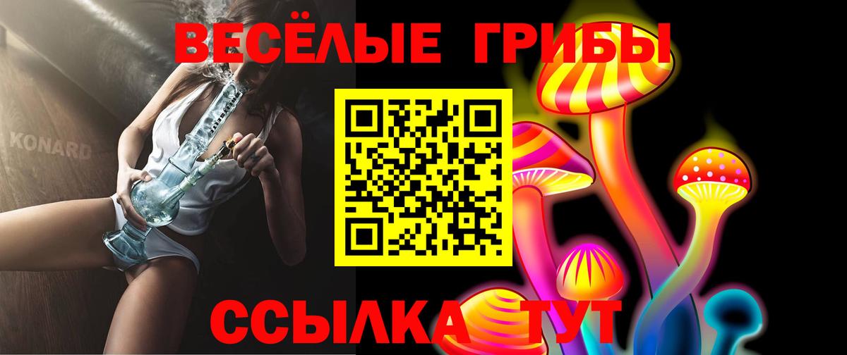 Галлюциногенные грибы мицелий  Галлюциногенные грибы ЛСД  Сальск  Вход с VPN 